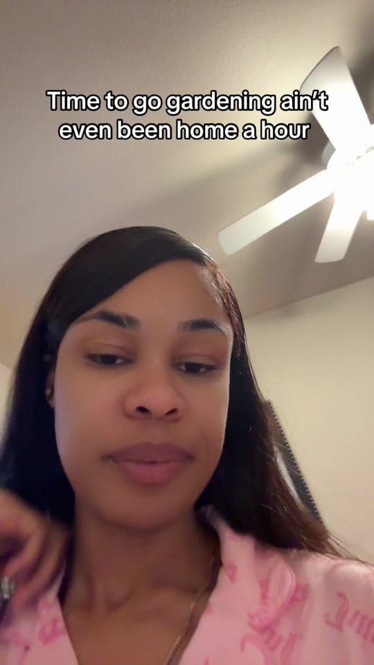 Post 9 by Lex on TikTok (video)