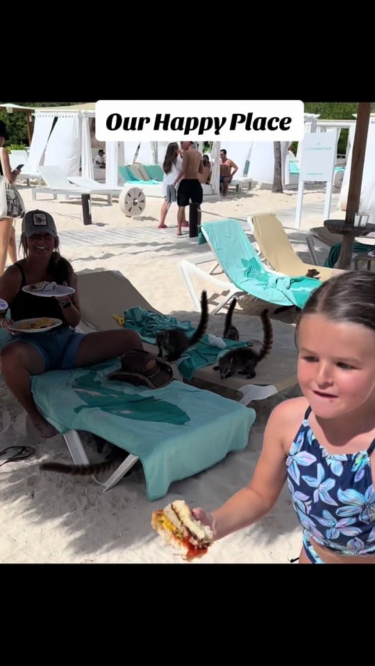 Post 5 by Wanderlusttravel_ on TikTok (video)