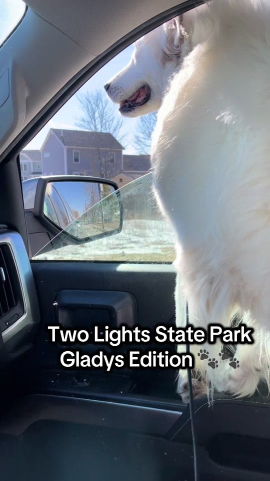 Post 1 by Kimberlee 💙 MaineKayakGirl on TikTok (video)