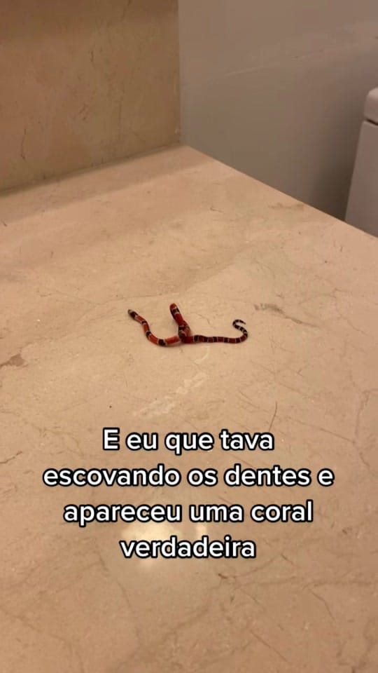 Post 8 by Duda Abrantes on TikTok (video)