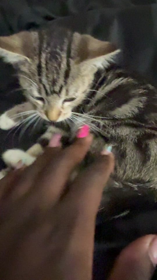 Post 5 by Nidabakes on TikTok (video)