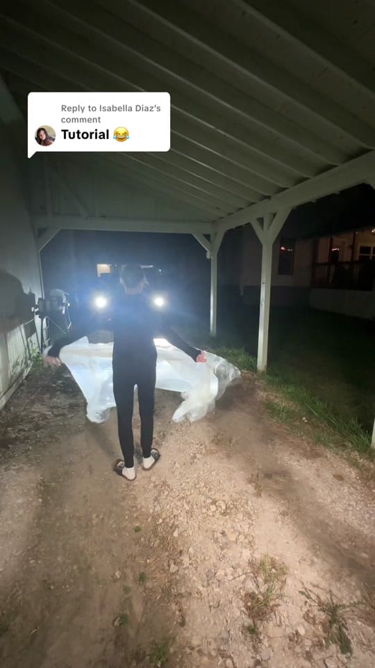 Post 8 by Lexi Serna† on TikTok (video)