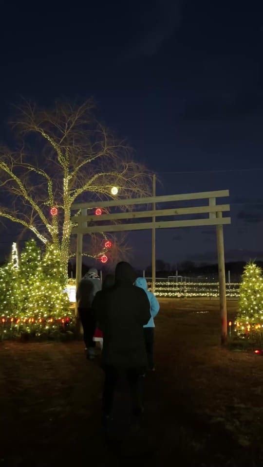 Post 6 by Visit NJ on TikTok (video)