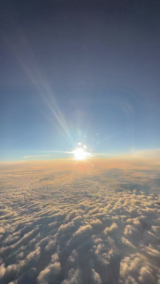 Post 5 by Max Kim on TikTok (video)