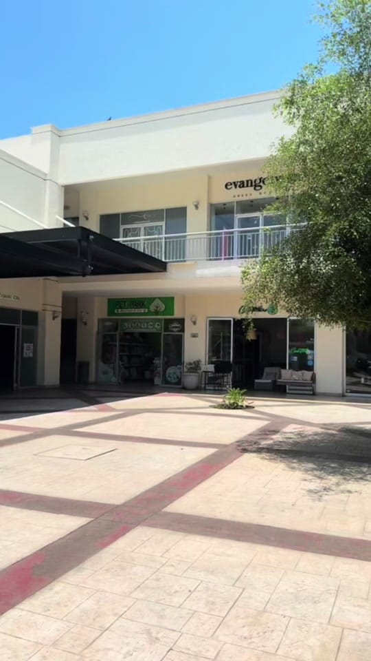 Post 9 by Tienda Aloha on TikTok (video)