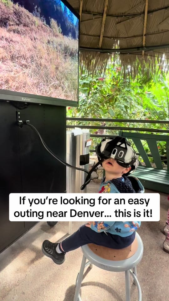 Post 6 by coloradomamalife on TikTok (video)