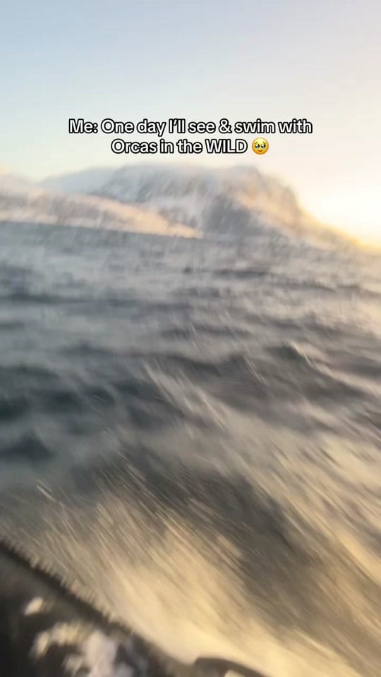 Post 8 by phiswildlife on TikTok (video)