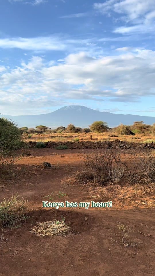 Post 1 by phiswildlife on TikTok (video)