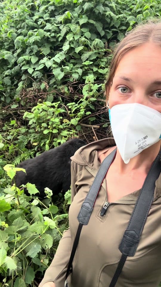 Post 3 by phiswildlife on TikTok (video)