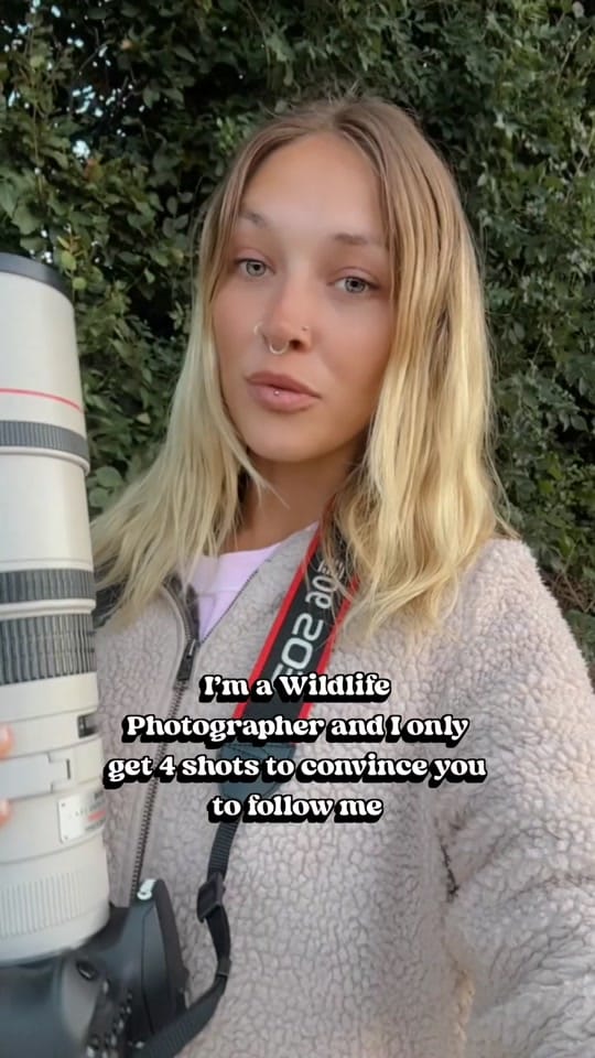 Post 7 by phiswildlife on TikTok (video)