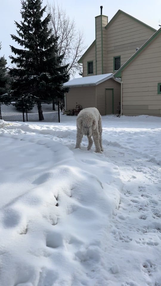 Post 1 by Christopher Cline on TikTok (video)