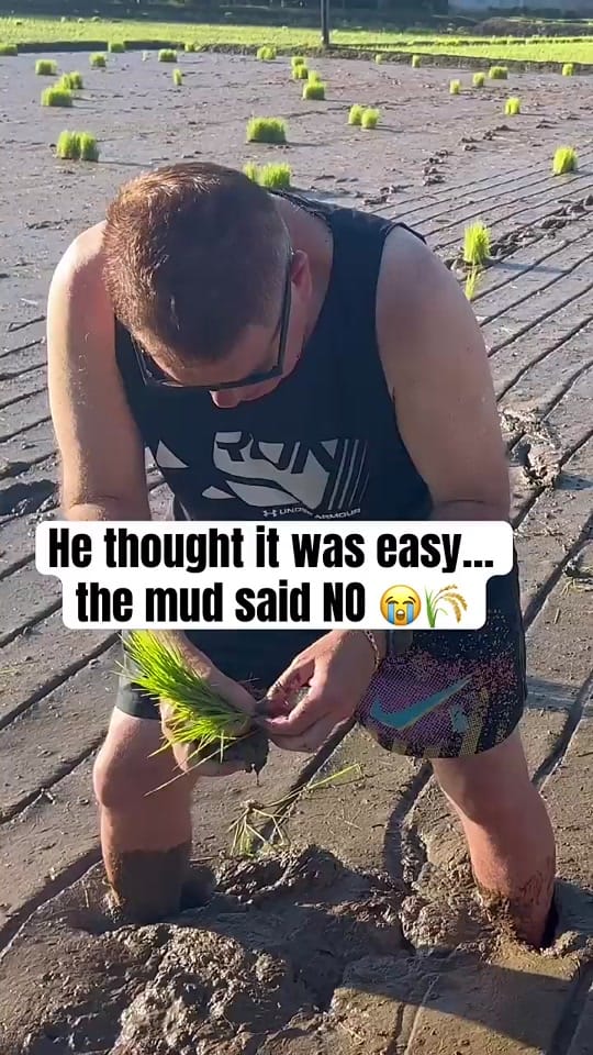 Post 2 by Ejay's Adventures on TikTok (video)