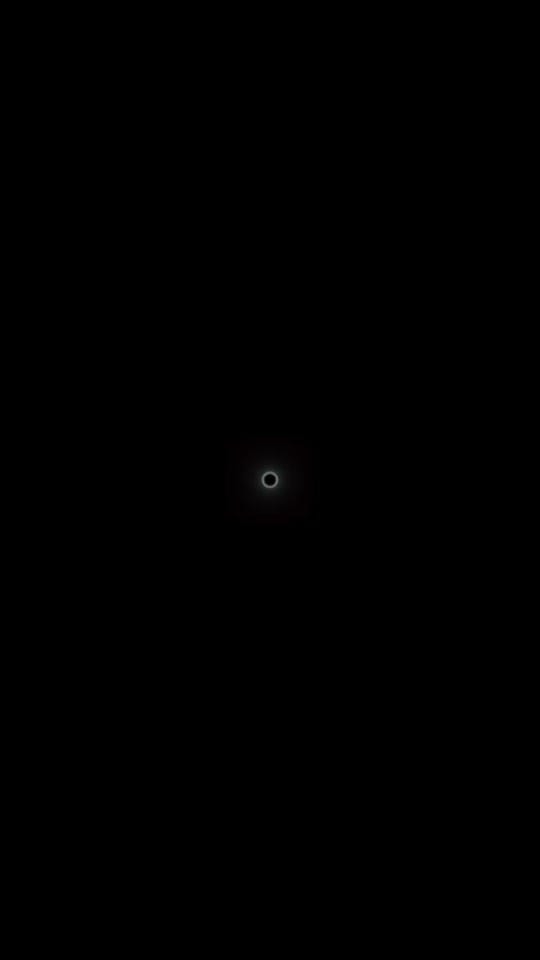 Post 4 by Tesla Lee on TikTok (video)