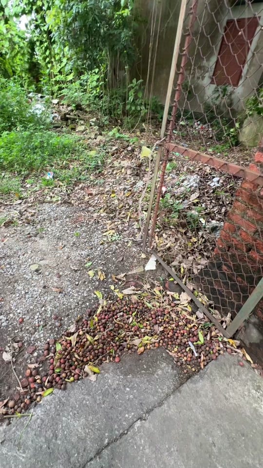 Post 9 by GearUp ZoZo on TikTok (video)