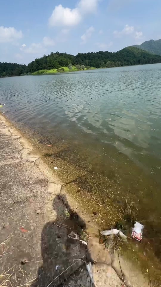 Post 7 by GearUp ZoZo on TikTok (video)