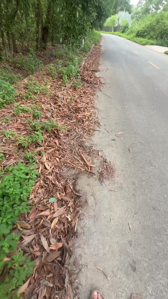 Post 4 by GearUp ZoZo on TikTok (video)