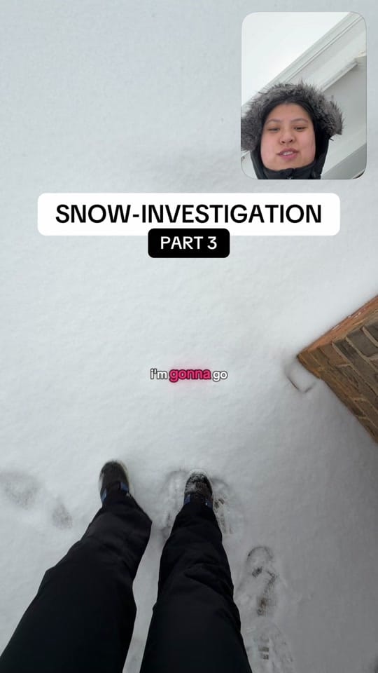 Post 8 by lil suzi vert on TikTok (video)