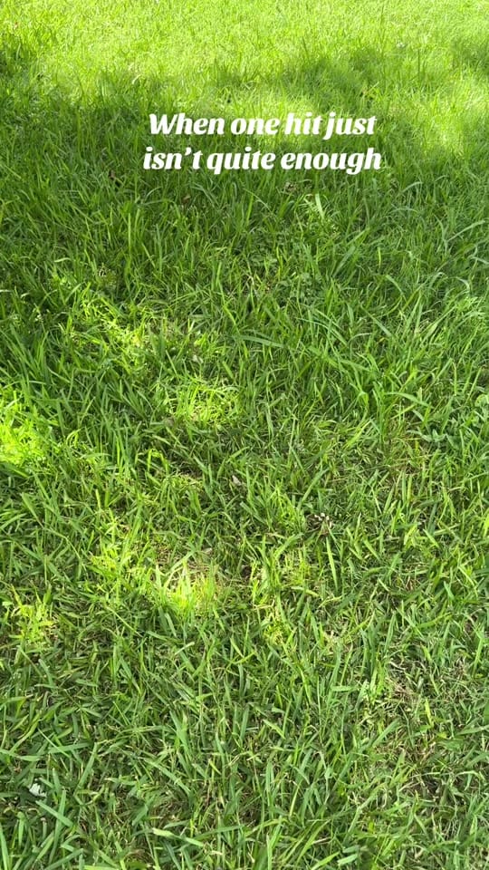 Post 5 by Best One Hitters on TikTok (video)