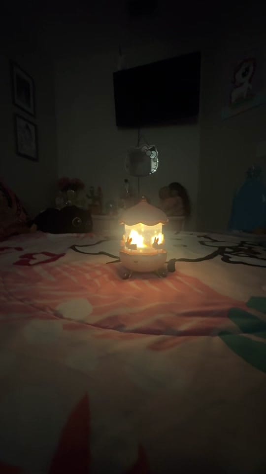 Post 7 by Susan M on TikTok (video)