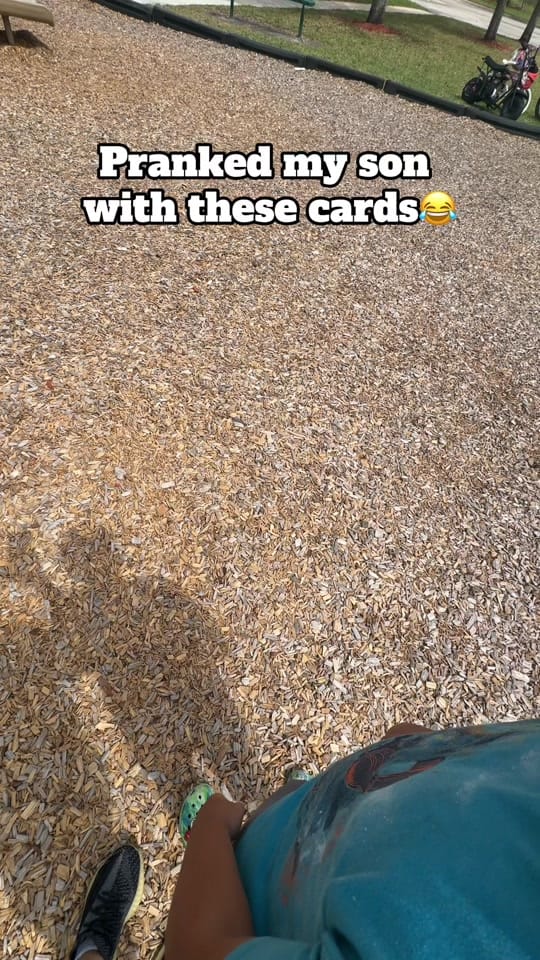 Post 2 by Susan M on TikTok (video)