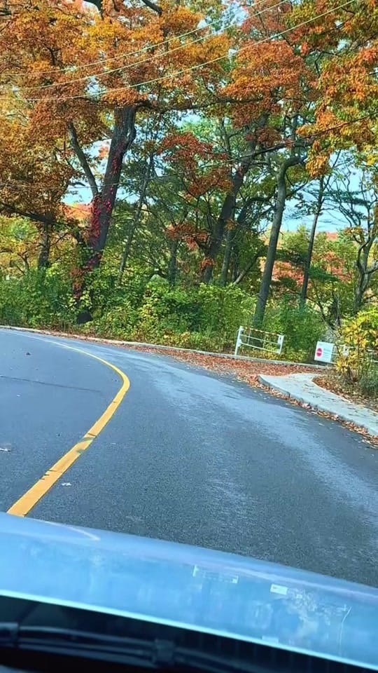 Post 4 by Naeem Khan on TikTok (video)