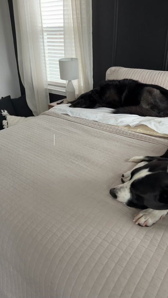 Post 3 by Taylor - Dallas Photographer on TikTok (video)