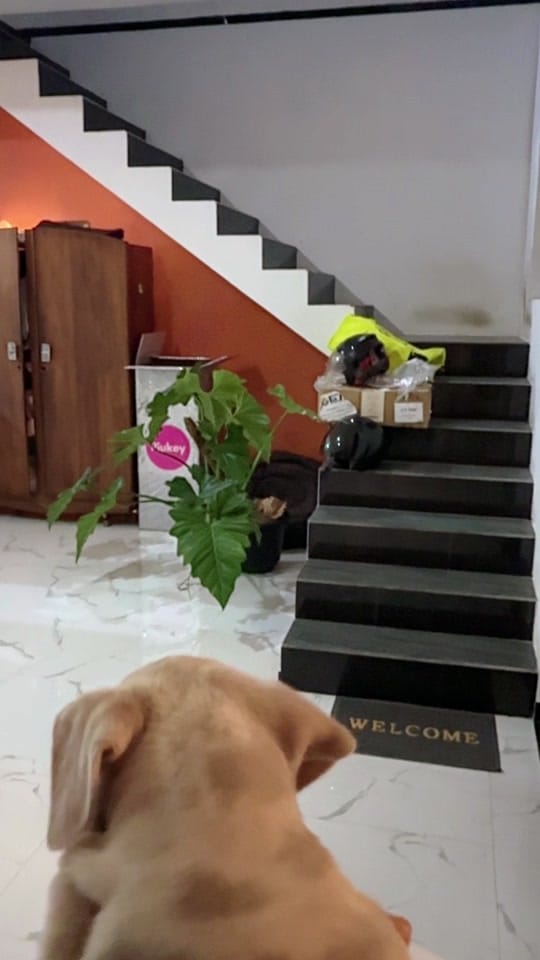 Post 3 by TGK on TikTok (video)