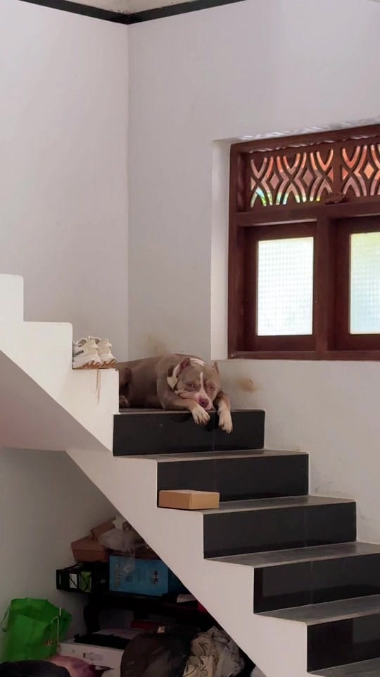 Post 7 by TGK on TikTok (video)