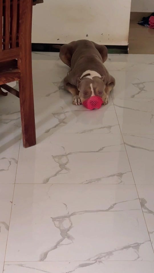 Post 9 by TGK on TikTok (video)