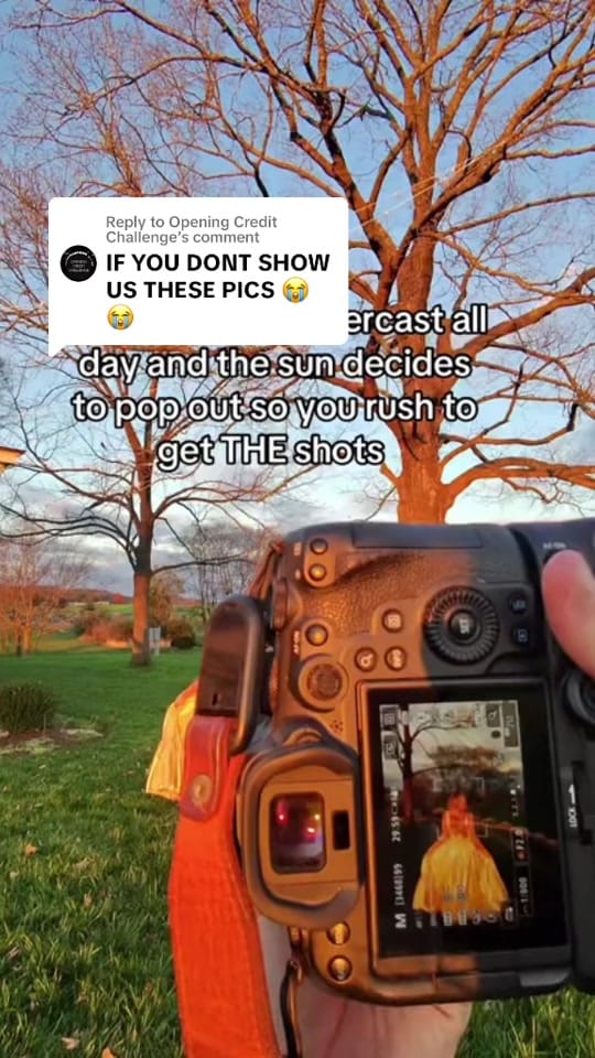 Post 8 by Haley Hays on TikTok (video)