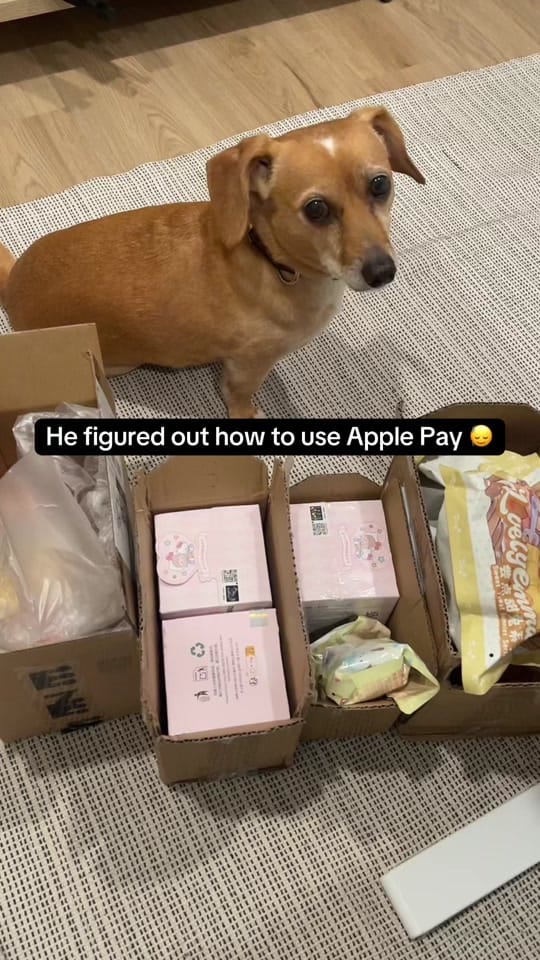 Post 7 by tay.in.atx | unboxing joy✨ on TikTok (video)
