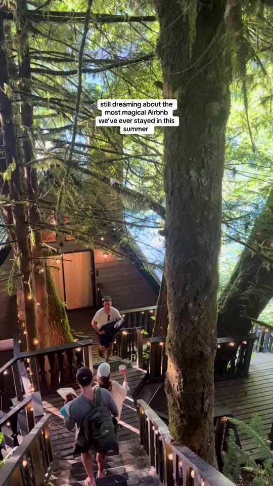 Post 9 by annefishkin on TikTok (video)