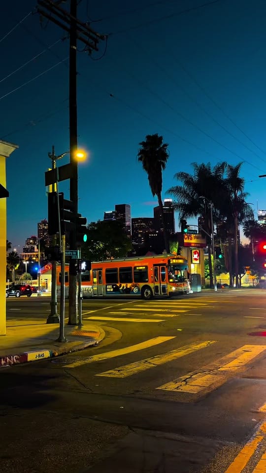 Post 5 by Zaid Shaat on TikTok (video)