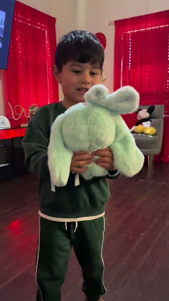 Post 4 by Familia Acuna Reyes on TikTok (video)