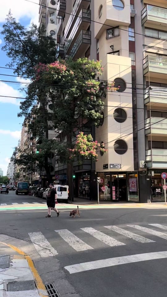 Post 8 by Greg on TikTok (video)