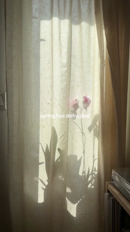 Post 5 by Minna So on TikTok (video)