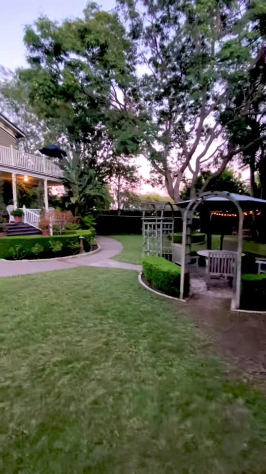 Post 7 by ambermesorana on TikTok (video)