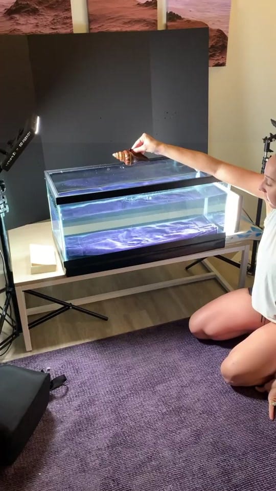 Post 4 by Brew Media on TikTok (video)