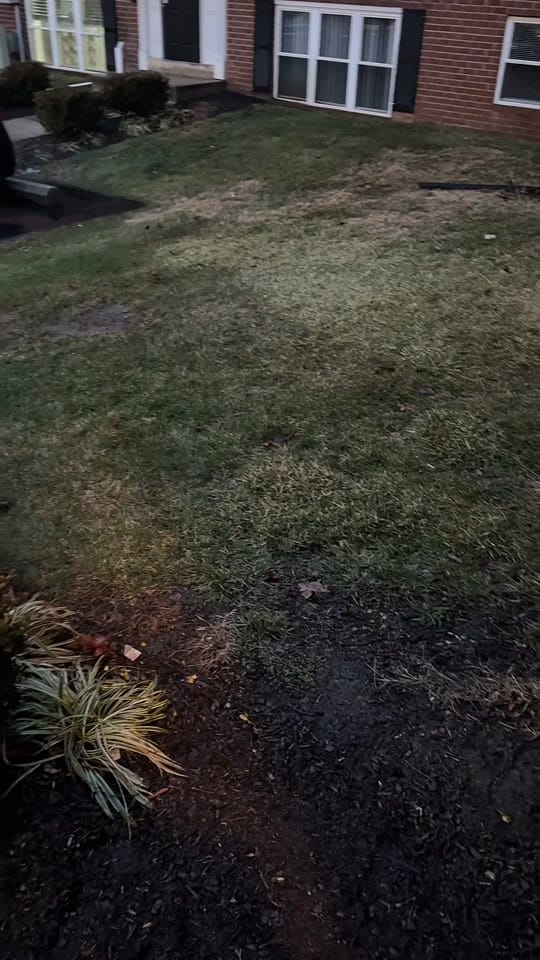 Post 8 by Kani on TikTok (video)