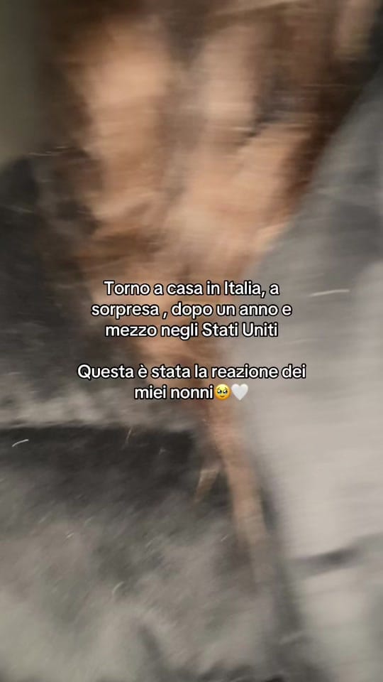 Post 10 by Veronica negli States🇺🇸🤠 on TikTok (video)