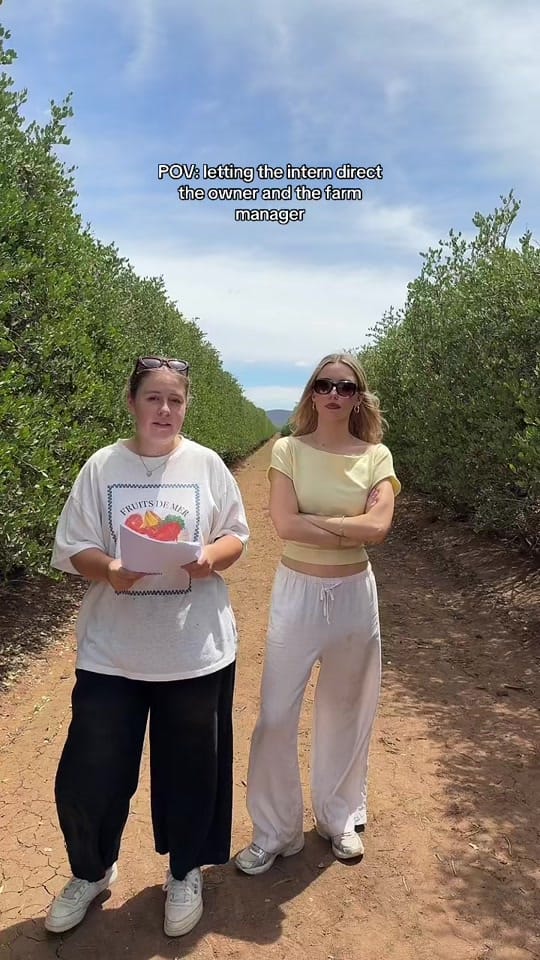 Post 6 by The Jojoba Company on TikTok (video)