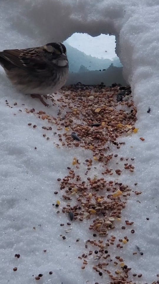 Post 2 by ᴀɴɢᴇʟᴀ♡ on TikTok (video)