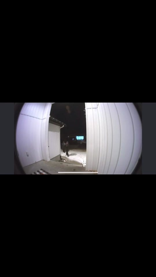 Post 10 by Jess Lo on TikTok (video)