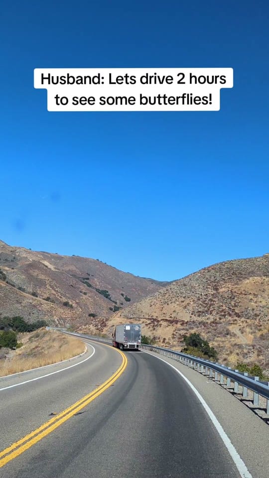 Post 10 by Mark Collins on TikTok (video)