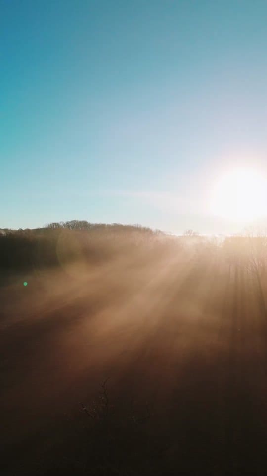 Post 5 by Wander North Georgia on TikTok (video)