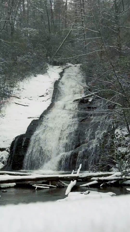 Post 8 by Wander North Georgia on TikTok (video)