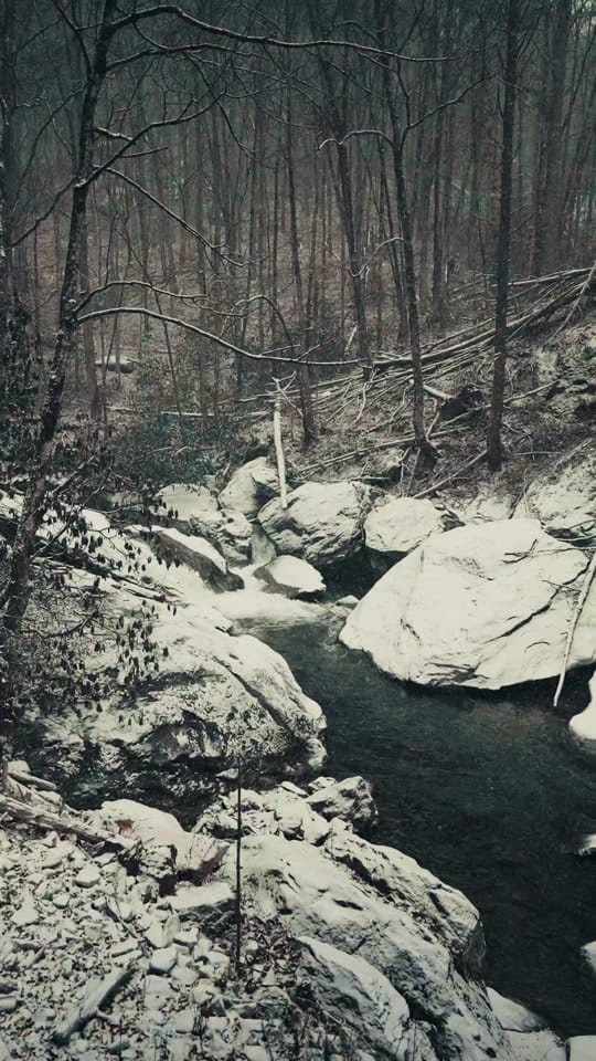 Post 9 by Wander North Georgia on TikTok (video)