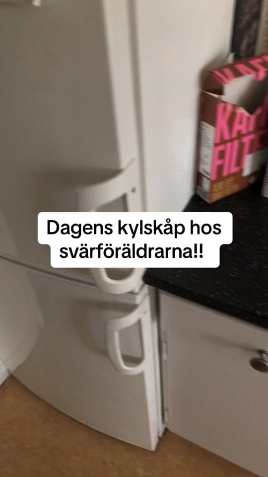 Post 8 by Vilda Väsby on TikTok (video)