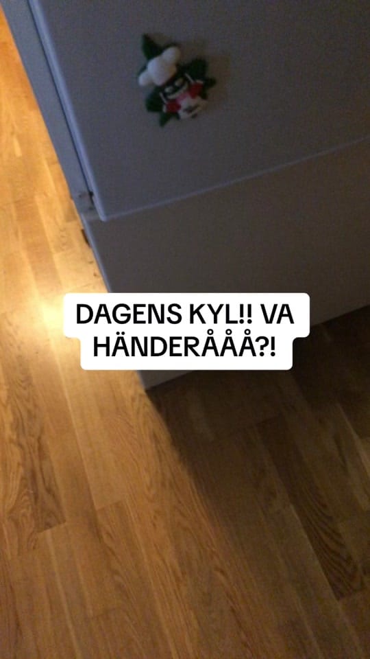 Post 6 by Vilda Väsby on TikTok (video)