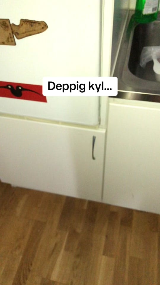 Post 10 by Vilda Väsby on TikTok (video)